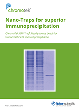 Nano-Traps for Superior Immunoprecipitation