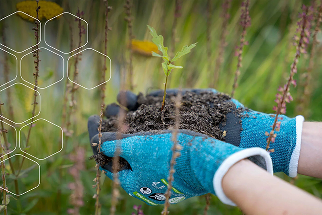 hands with gloves holding mud in a field