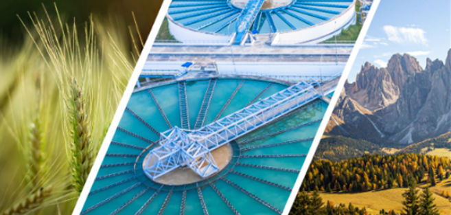 18647_banner_food Velp