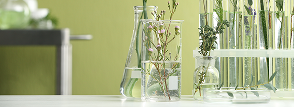 15831_cosmetic_2 Chemical, Performance Materials (PFM) and Cosmetic Industries