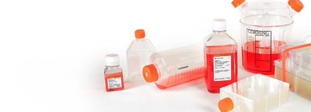 19332_Corning Expansion v2 19332_Corning Expansion v2