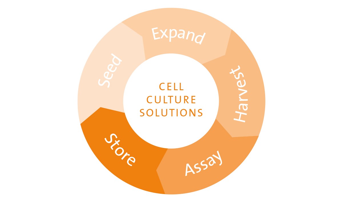 Cell Culture Solutions Cell Culture Solutions