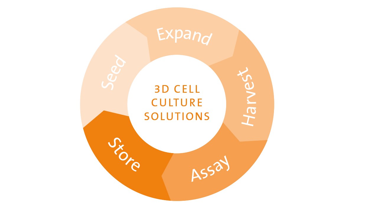 3D Cell Culture Solutions 3D Cell Culture Solutions