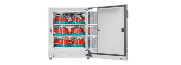 19212_Top_Category_Accessories 19212_Top_Category_Accessories