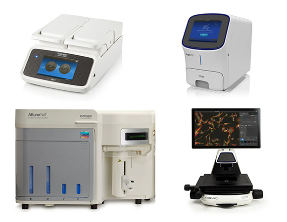 Innovating Your Work Innovating Your Work