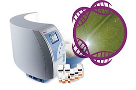 kingfisher-plant-dna kingfisher-plant-dna