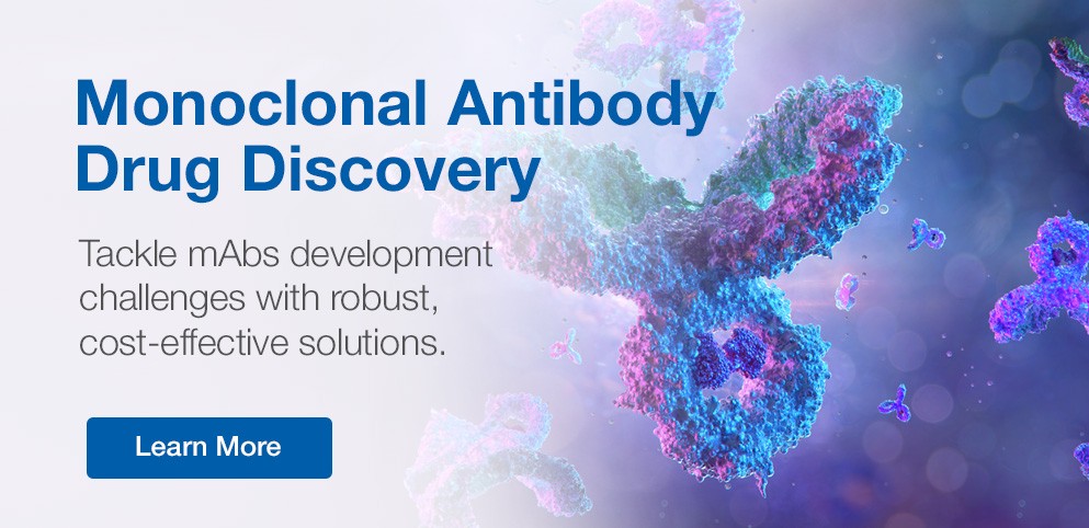 Innovative mAbs Solutions Innovative mAbs Solutions