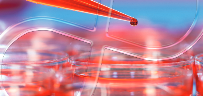 23507_image_industry_cell_workflow Cell Culture Workflow