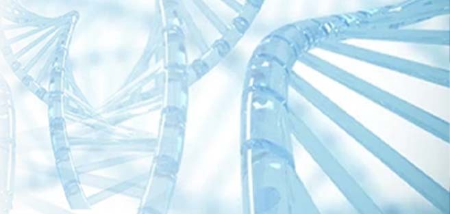 15831_brochure_5_new Top Biologicals