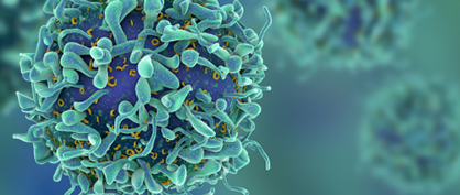 Successful Cell Therapy Manufacturing Successful Cell Therapy Manufacturing